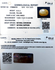 8.55/CT Natural Yellow Sapphire With Govt Lab Certificate (4551)